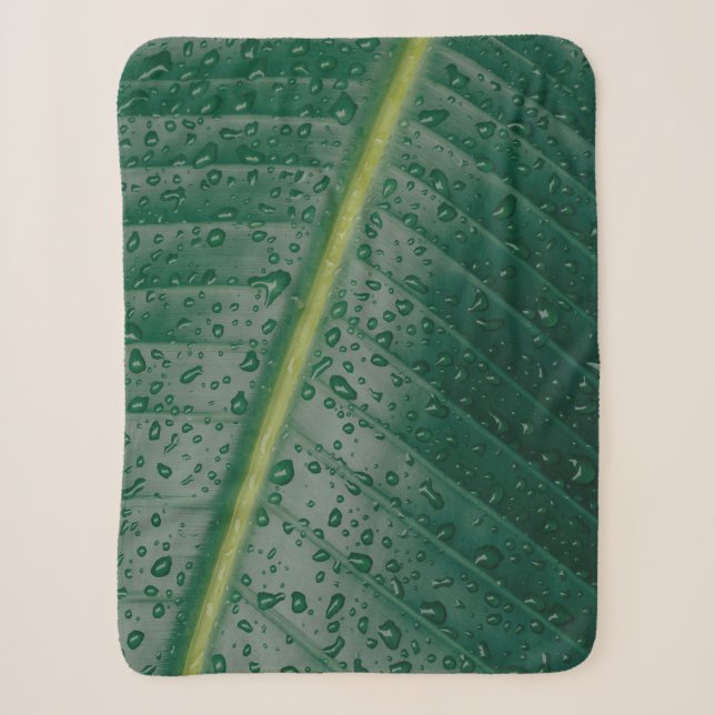 Couverture Sherpa gouttelettes d'eau sur feuille de bananier (Devant)