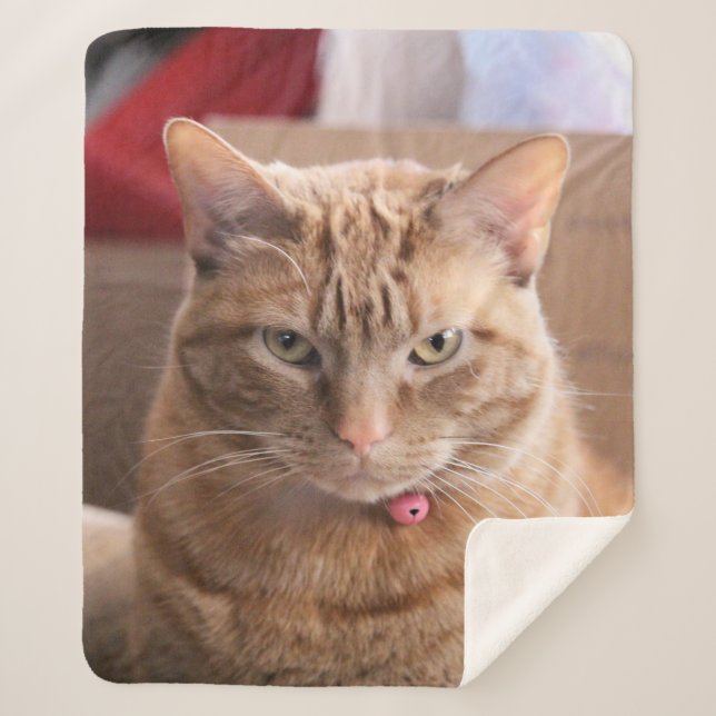 Couverture Sherpa Grave (Devant)