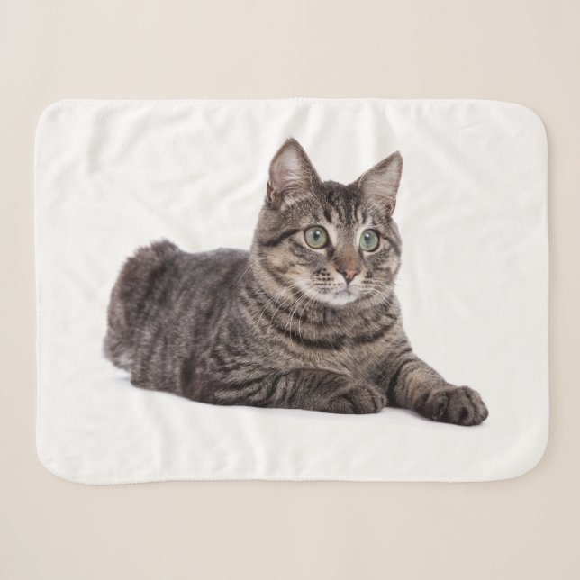 Couverture Sherpa Gray Tabby Cat (Devant (Horizontal))