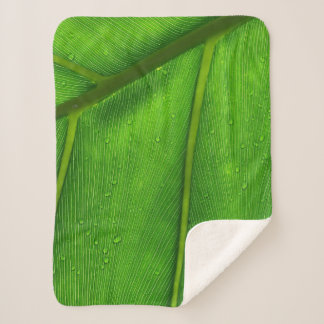 Couverture Sherpa Green leaf