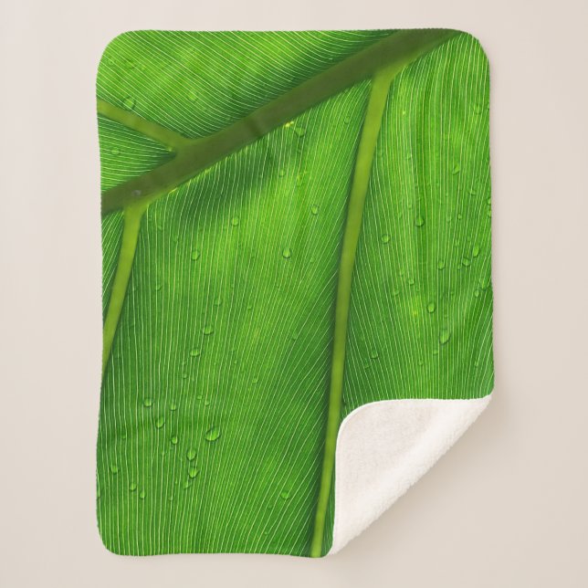 Couverture Sherpa Green leaf (Devant)