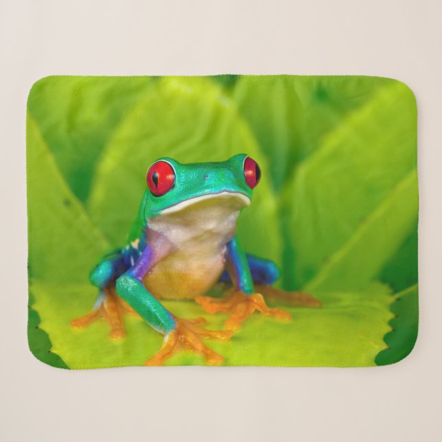 Couverture Sherpa Grenouille aux yeux rouges, Costa Rica (Devant (Horizontal))