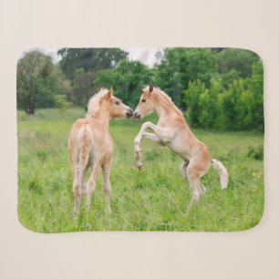 Couverture Sherpa Haflinger Horses Cute Fote Friends Rearing Photo