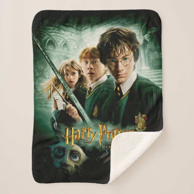 Couverture Sherpa Harry Potter Ron Hermione Groupe Dobby Saisie (Devant)