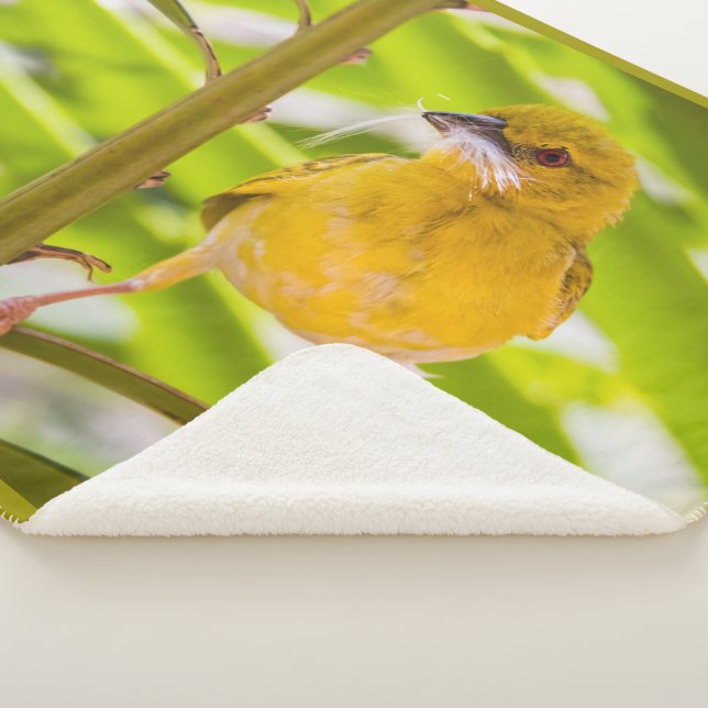 Couverture Sherpa Il est temps de construire le nid (3/4)