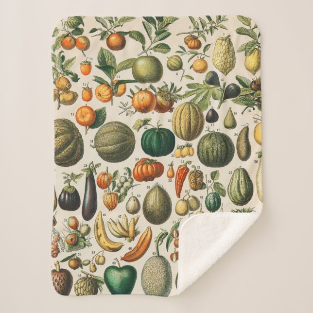 Couverture Sherpa Illustration scientifique végétale des fruits (Devant)