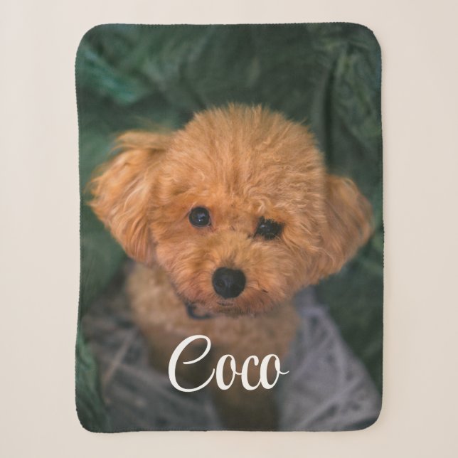 Couverture Sherpa Image Personnalisée Et Nom Cute Dog Blanket Cadeau (Devant)