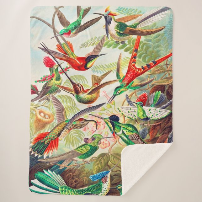 Couverture Sherpa Imprimerie de colibris 1904 (Devant)