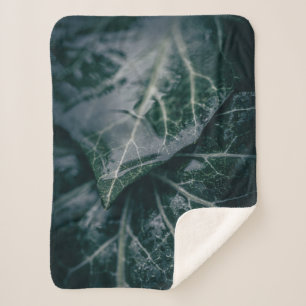 Couverture Sherpa Ivy Nature Photo