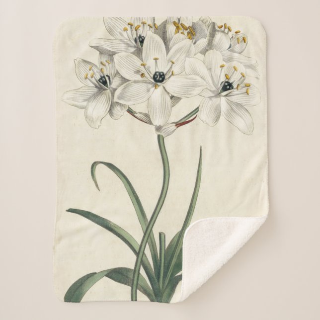 Couverture Sherpa Jardin d'ivoire (Devant)