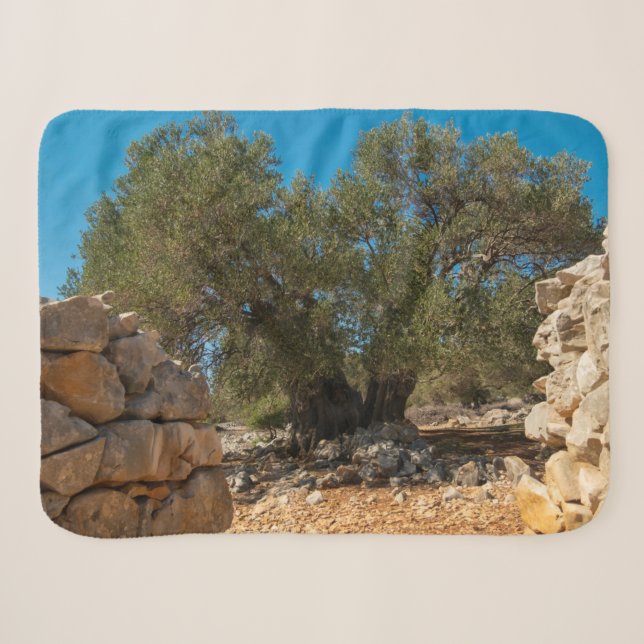 Couverture Sherpa Jardins d'olivier de Lun (Devant (Horizontal))