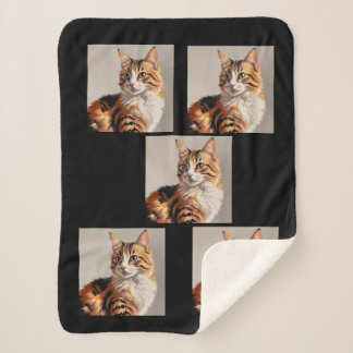 Couverture Sherpa Jasmine le tableau du chat Calico