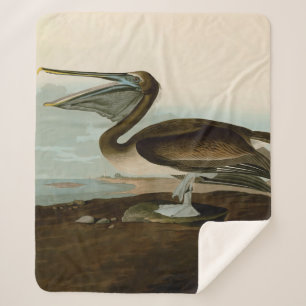 Couverture Sherpa John James Audubon Peinture Pélicane Brown