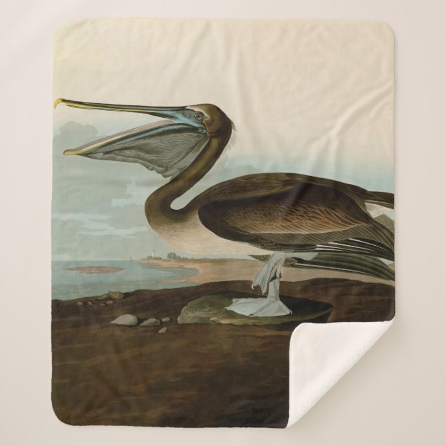 Couverture Sherpa John James Audubon Peinture Pélicane Brown (Devant)