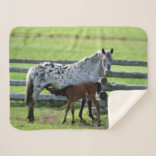 Couverture Sherpa Jument Appaloosa et poulain