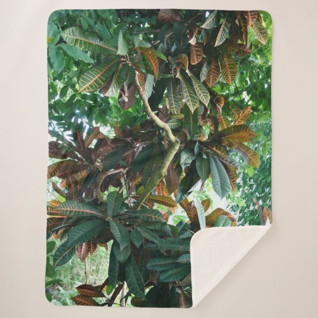 Couverture Sherpa Jungle tropicale verte (Devant)