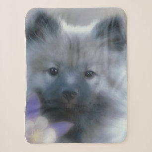Couverture Sherpa Keeshond et Columbine - Photo de chien