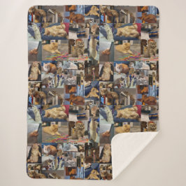 Couverture Sherpa Kitten Photo Collage,