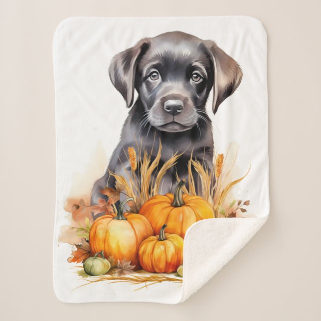 Couverture Sherpa Labrador Retriever Puppy Automne Citrouille Amoure (Devant)