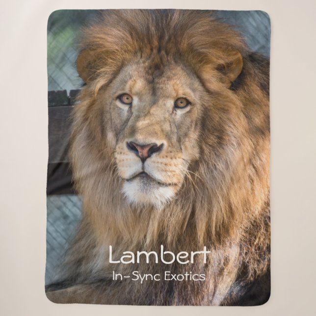 Couverture Sherpa Lambert -  (Devant)