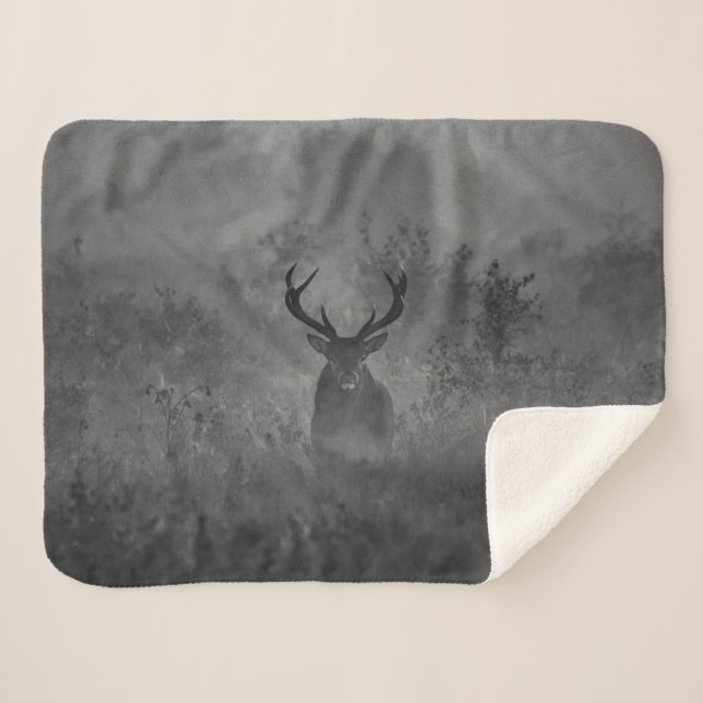 Couverture Sherpa Le Cerf Dans La Mist (Devant (Horizontal))