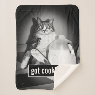 Couverture Sherpa Le Lait De Chat De Juge