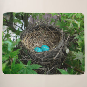 COUVERTURE SHERPA LE NEST DE ROBIN
