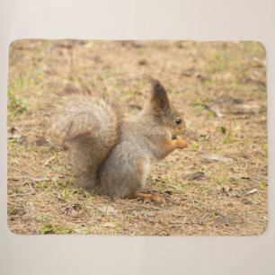 Couverture Sherpa L'écureuil mignon mange une photo de noix