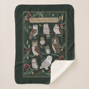 Couverture Sherpa Les Chouettes trouvées en Alaska Sherpa Blanket