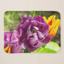 Lilac tulipes sur une journée ensoleillée