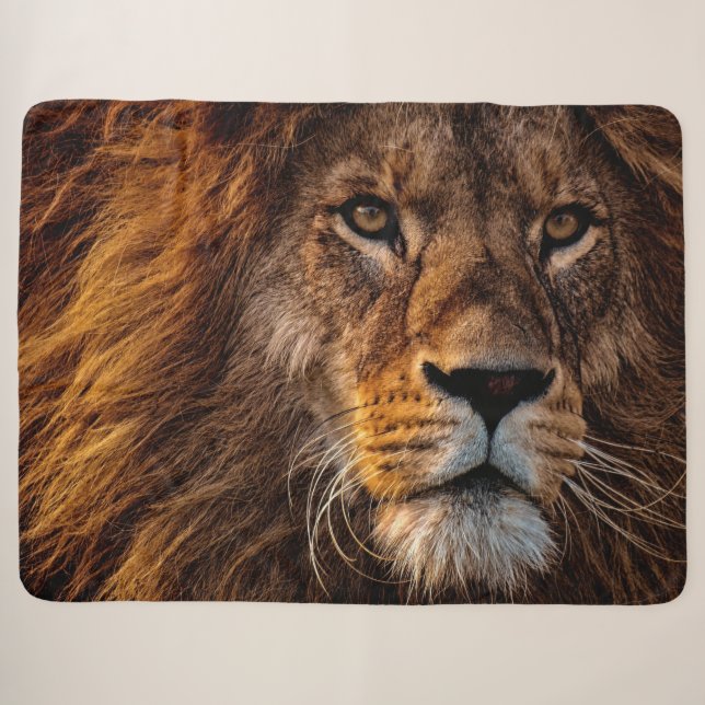 Couverture Sherpa Lion (Devant (Horizontal))