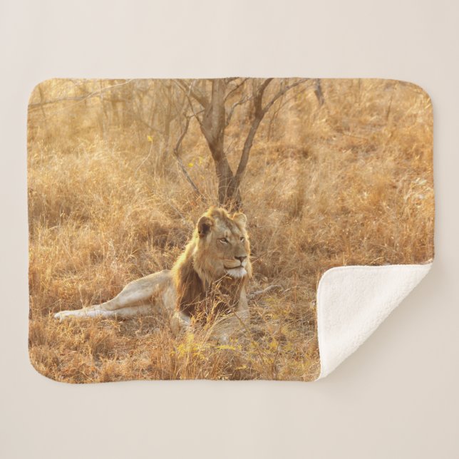 Couverture Sherpa Lion Sherpa Blanket (Devant (Horizontal))