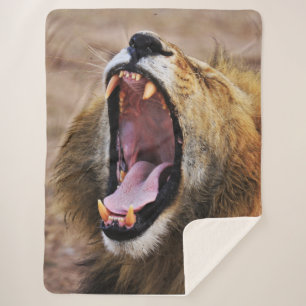 COUVERTURE SHERPA LION YAWN