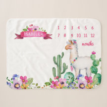Llama et Cactus Floral Baby Name Milestone Photo