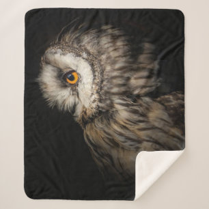 Couverture Sherpa L'Oeil mystique du hibou  Cadeau aux amateurs de c