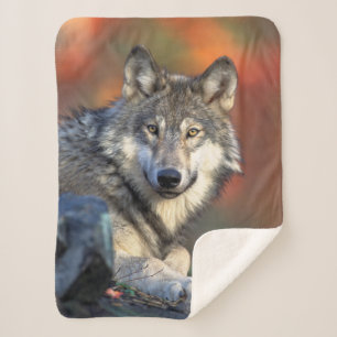 Couverture Sherpa Loup