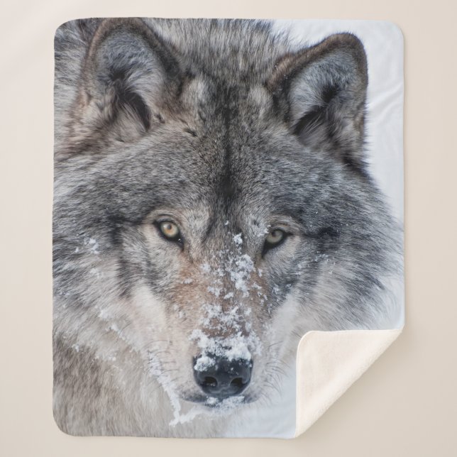 Couverture Sherpa Loup de bois  (Devant)