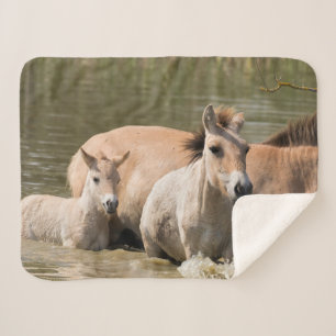 Couverture Sherpa Mare avec Foal Crossing a River