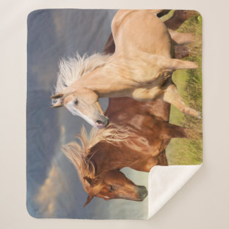 Couverture Sherpa Meilleurs amis