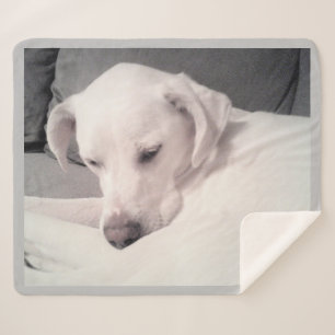 Couverture Sherpa Mélange blanc labrador blanc mix gris chien