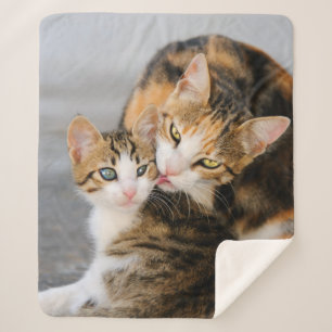Couverture Sherpa Mère Chat aime mignon Bébé Kitten Animal Animaux A