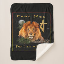 Ne crains pas Ésaïe 41:10