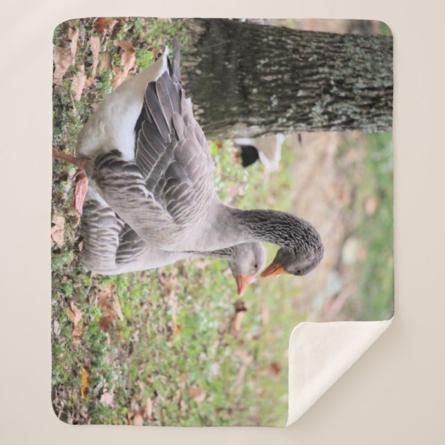 Couverture Sherpa Oie (Devant)