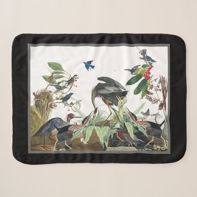 Couverture Sherpa Oiseaux du Grand Héron bleu d'Audubon Sherpa Blank (Devant (Horizontal))