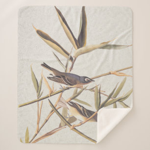 Couverture Sherpa Oiseaux volants Vireo solitaire d'Audubon sur la c