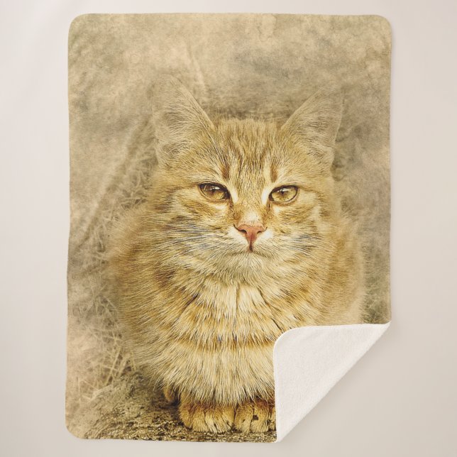 Couverture Sherpa Orange Tabby (Devant)