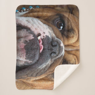 Couverture Sherpa Oreillers à lancer de Bulldog anglais