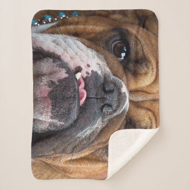 Couverture Sherpa Oreillers à lancer de Bulldog anglais (Devant)
