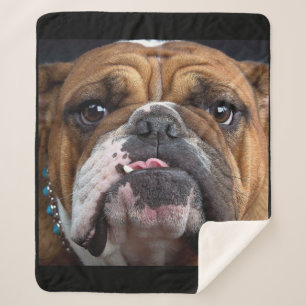 Couverture Sherpa Oreillers à lancer de Bulldog anglais