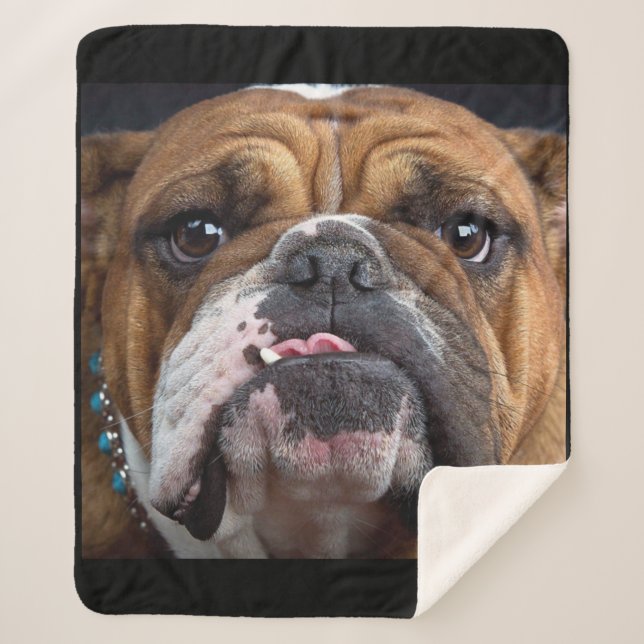 Couverture Sherpa Oreillers à lancer de Bulldog anglais (Devant)